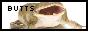 Button 9